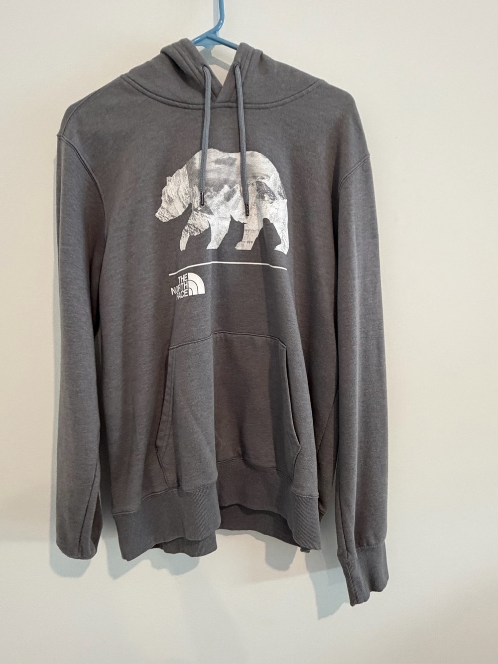 The North Face Men's Gray Bear Graphic Crewneck Hoodie